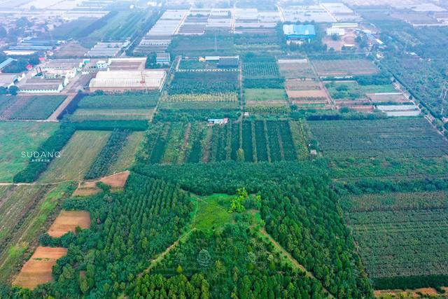 探秘千年王上村：陕西杨凌区有座隋朝大墓，千百年未曾被盗