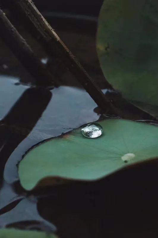 从藏茶客角度：只靠喝，能选出一款有存放潜力的茶吗？（下）