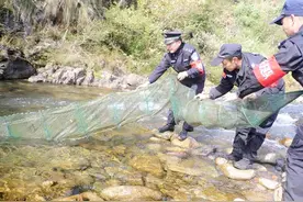 加强沿海地区地笼网清理整治之我见图片