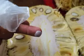 菠萝蜜的树胶粘到手上怎么洗干净？这三种方法一个比一个方便实用图片