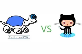 网站svn泄露漏洞图片