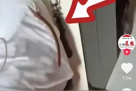 入住酒店的枕头边爬着一条长蜈蚣，大学生索赔300元遭拒，酒店经理：再免费送两晚图片