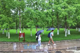 济南8轮次人工增雨效果明显 全市普降小到中雨，局部大雨图片