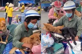 越南一对夫妇感染新冠后，其饲养的16只猫狗被残忍杀死图片