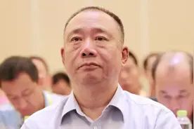 卖汤圆一年赚70亿，现入局新能源：他50岁创业从小贩到食品首富图片