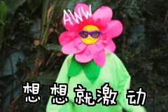 火山岛景区恢复开放~总会春暖花开，与你面朝大海！图片