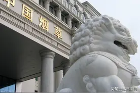每年缴税上万亿的中国烟草，为什么不是世界五百强？图片