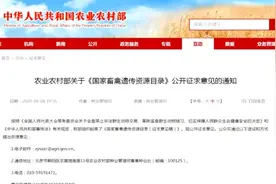 中国人更应该禁食牛肉图片
