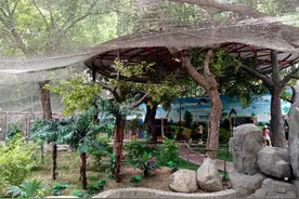 改造后的银川中山公园动物园掠影图片