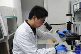 立下赫赫战功的抗寄生虫药是如何被发现的图片