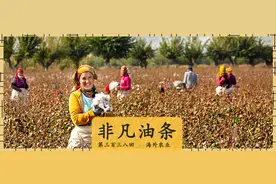 乌克兰包农场，中亚种棉花，这个省在海外拼命种地图片