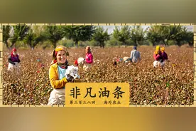 乌克兰包农场，中亚种棉花，这个省在海外拼命种地图片