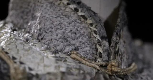 如何泡发干鱼皮 2026年怎么泡发干鱼皮 如何泡发干鱼皮 2026年怎么泡发干鱼皮