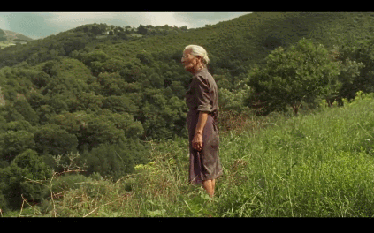 ��13����Ƭ������һ����Ӱ�ڣ������и���