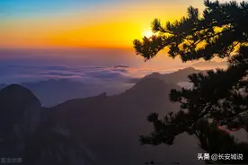 西安和郑州，谁能笑到最后？图片
