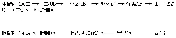 【初中生物】七年级下册初中生物知识点总结