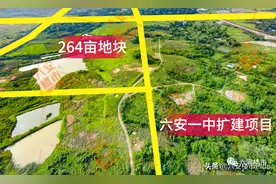 土拍预警！刚刚六安新一中西侧重磅地块曝光，即将上市图片
