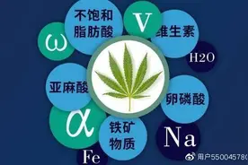 巴马御天木火麻仁油该如何食用图片