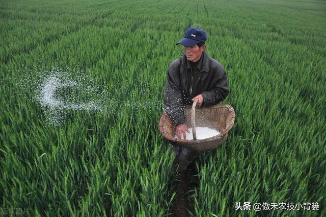 鍚屾牱鏄爱鑲ワ紝灏跨礌銆佺⒊閾点€佹隘鍖栭摰銆佺閰搁摰绛夊浣曟纭寫閫変笌浣跨敤锛? onerror=