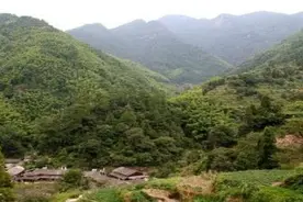 给父亲送饭图片