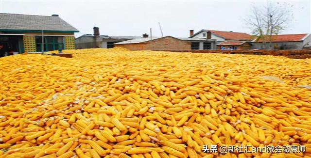 牛票讯息：70年破茧蝶变，通辽以现代农牧业构筑内蒙“粮仓肉库”