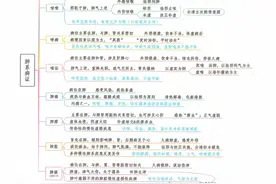 中医内科——思维导图图片