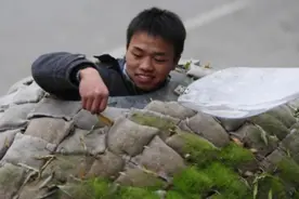 小伙造了个移动小屋放单位楼下，晚上加班后下楼就钻进去睡觉图片