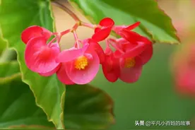 30年前，二人改了身份证年龄，现在又着急改回来图片
