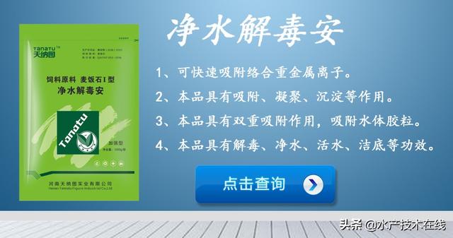 如何增强养殖鱼类的抗应激能力？养殖户须知