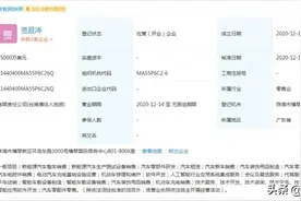 20亿！珠海国资投资贾跃亭图片