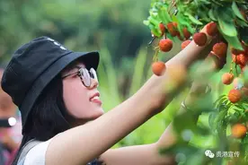 这份扶贫成绩单，很贵港！图片