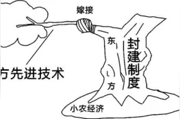 2021年八年级历史上册第八单元近代经济社会生活与教育文化事业的发展第25课经济和社会生活的变化课后作业图片