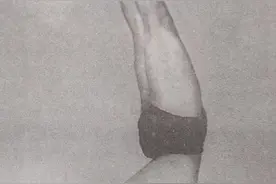 131.撑下颌式肘倒立式（Savanasana）图片