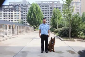 靠嗅觉，警犬“ 闪电 ”在玉米地里搜救出失踪老人！图片