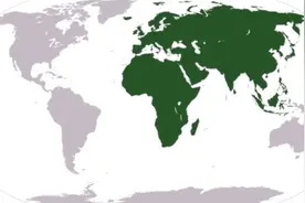 中国介入阿富汗？温铁军：我们应该关注重构亚欧非大陆联结图片