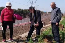 枣庄市峄城区榴园镇：春季石榴扩种一片农忙景象图片