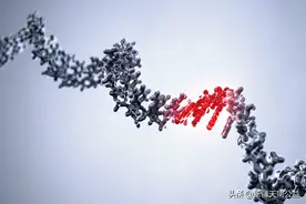 最新HIV/艾滋病疫苗试验将使用新冠疫苗研发技术图片