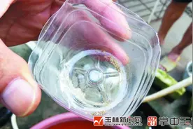 博白一村民从水井抽出金沙？专家：有可能是金沙图片