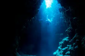 7名潜水员深海意外遭遇不明生物 捕获失败3人遇难 深海隐藏的秘密图片