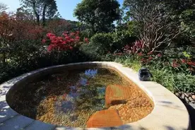 史上最强中日温泉对比，你知道吗？图片