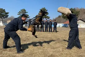 缉毒防暴警犬队是做什么的？图片