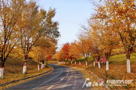 乌鲁木齐十条“醉美”秋景路喊你来打卡图片