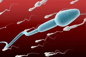 精子畸形率96%，还能生出正常的小孩吗?图片