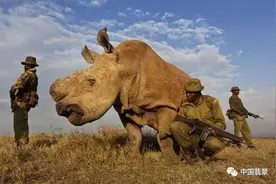 谁的珍宝，完美了谁的装饰图片