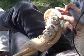 老人制造出一个手杖，当拿着手杖上街后，路人吓得纷纷躲闪图片