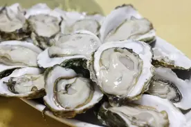 漫谈“海洋牛奶”牡蛎图片