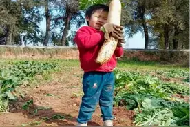 临夏市村情介绍“新名片”修改建议征求（七）图片