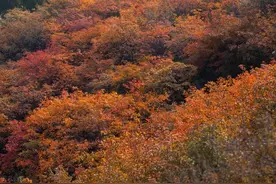 想和你并肩走在山西的秋天里，去寻找最美的风景图片