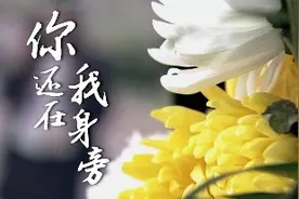 微视频丨你还在我身旁图片
