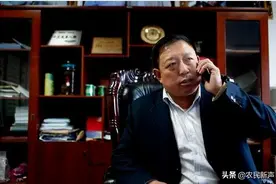 我与前“陕西首富”高乃则的陈年往事图片